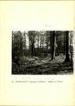 EP - Ewidencja parkowa, skan nr 16
