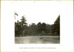 Ewidencja parkowa, skan nr 34