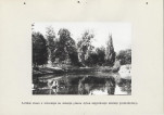 Ewidencja parkowa, skan nr 24