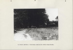 Ewidencja parkowa, skan nr 26