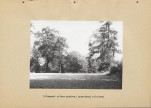 Ewidencja parkowa, skan nr 26