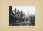 Ewidencja parkowa, skan nr 27
