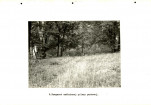EP - Ewidencja parkowa, skan nr 23