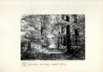 Ewidencja parkowa, skan nr 27