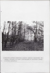 Ewidencja parkowa, skan nr 23