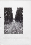 Ewidencja parkowa, skan nr 24
