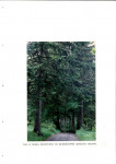 Ewidencja parkowa, skan nr 31