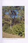 EP - Ewidencja parkowa, skan nr 53