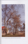 EP - Ewidencja parkowa, skan nr 67