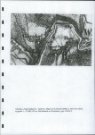 EP - Ewidencja parkowa, skan nr 7