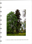 Ewidencja parkowa, skan nr 24