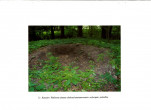 EP - Ewidencja parkowa, skan nr 30