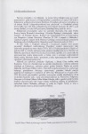 Ewidencja parkowa, skan nr 5