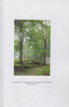 Ewidencja parkowa, skan nr 20