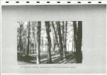 Ewidencja parkowa, skan nr 12