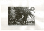 Ewidencja parkowa, skan nr 23