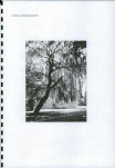 Ewidencja parkowa, skan nr 80