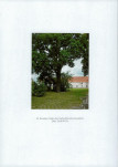 EP - Ewidencja parkowa, skan nr 78