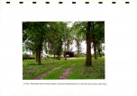EP - Ewidencja parkowa, skan nr 31