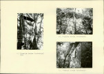 KB - Karta biała, skan nr 8