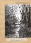 Ewidencja parkowa, skan nr 25