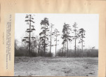 Ewidencja parkowa, skan nr 23