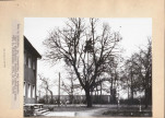Ewidencja parkowa, skan nr 21