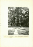 EP - Ewidencja parkowa, skan nr 33
