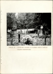 EP - Ewidencja parkowa, skan nr 39