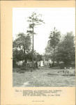 EP - Ewidencja parkowa, skan nr 19