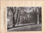 Ewidencja parkowa, skan nr 21