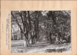 Ewidencja parkowa, skan nr 23