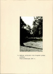 EP - Ewidencja parkowa, skan nr 18