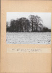 EP - Ewidencja parkowa, skan nr 19