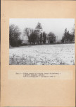 EP - Ewidencja parkowa, skan nr 20