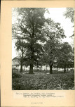 Ewidencja parkowa, skan nr 22