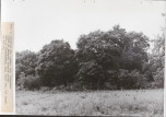 Ewidencja parkowa, skan nr 23