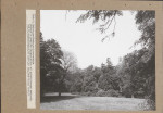 EP - Ewidencja parkowa, skan nr 16