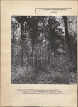 EP - Ewidencja parkowa, skan nr 20