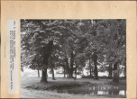 Ewidencja parkowa, skan nr 26