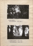 Ewidencja parkowa, skan nr 20