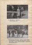 Ewidencja parkowa, skan nr 23
