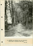 Ewidencja parkowa, skan nr 28