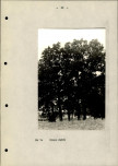 Ewidencja parkowa, skan nr 24