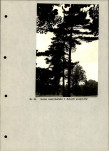 Ewidencja parkowa, skan nr 27