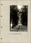 Ewidencja parkowa, skan nr 29