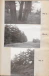 Ewidencja parkowa, skan nr 23