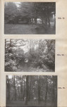 Ewidencja parkowa, skan nr 24
