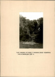 Ewidencja parkowa, skan nr 20