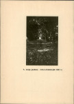 Ewidencja parkowa, skan nr 22